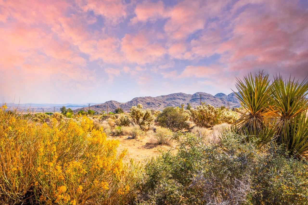 @ Marbella Lane - Modern Rustic Home In Jt Joshua Tree Eksteriør bilde